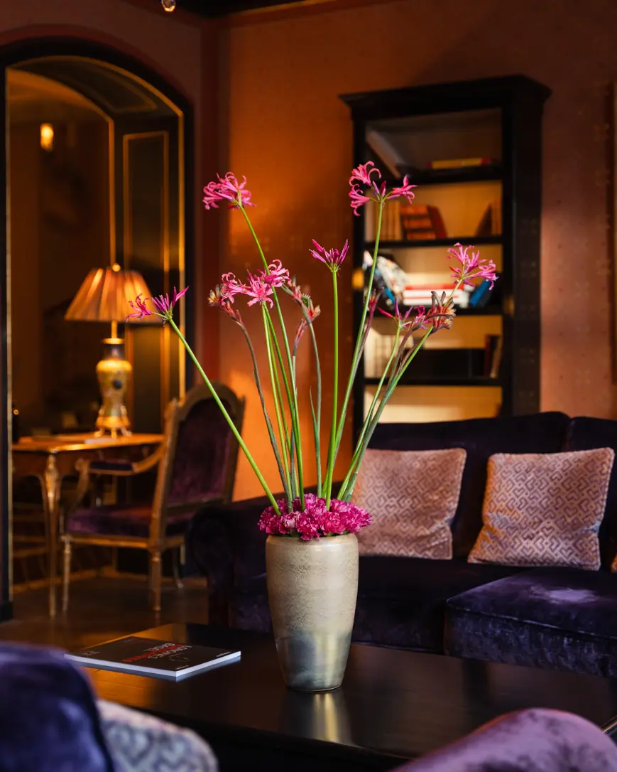 2501 JD Bibliothek (6)