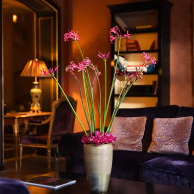 2501 JD Bibliothek (6)