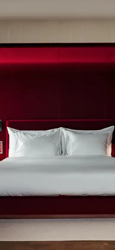 Les Trois Rois Junior Suite 5004 V2